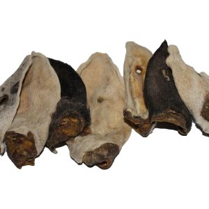 Lamsoren met haar